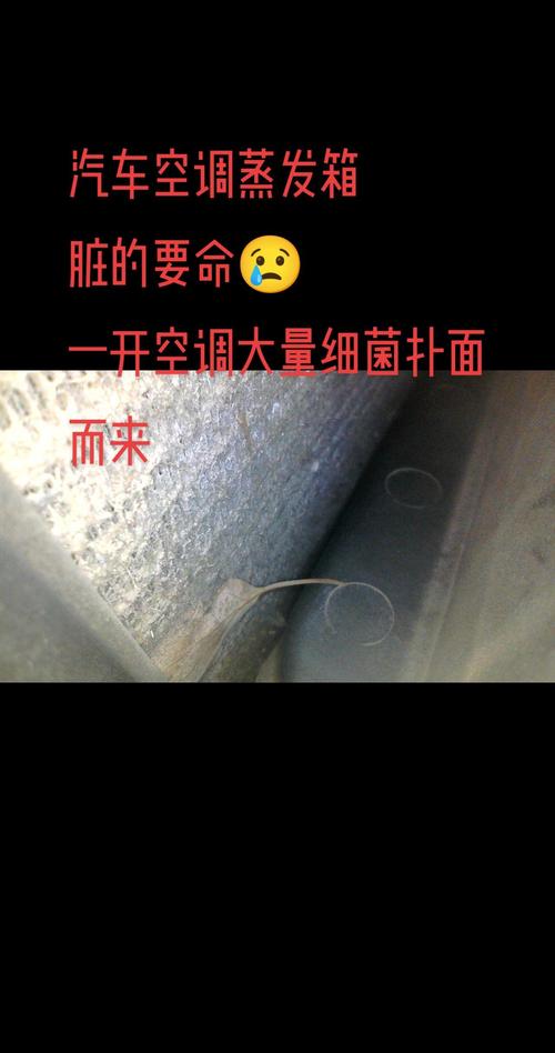 汽修师傅拆汽车空调蒸发箱检查表面霉斑