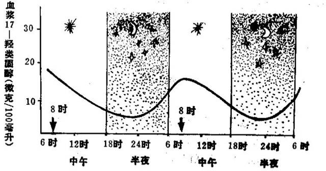 人体昼夜节律激素分泌时间表