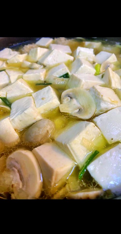 家常北豆腐炖鲜菌菇豆制品菜品实拍