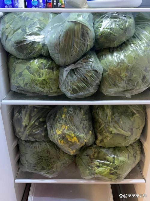 退成了，那把青菜还在我冰箱放着