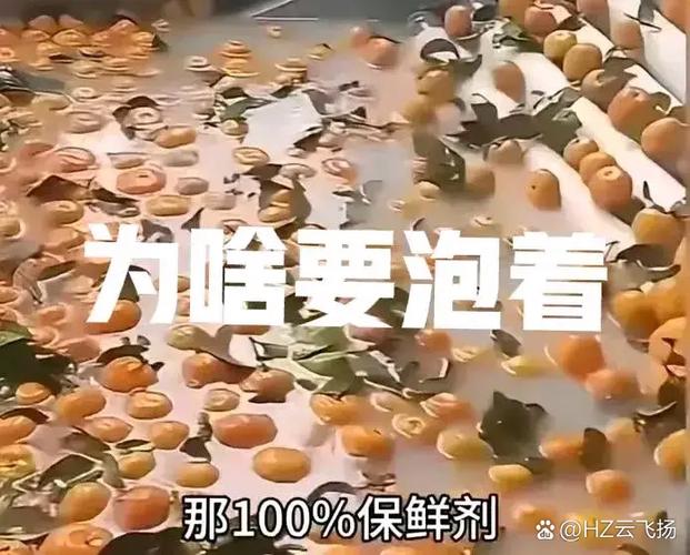 是不是所有水果,都得泡半天?