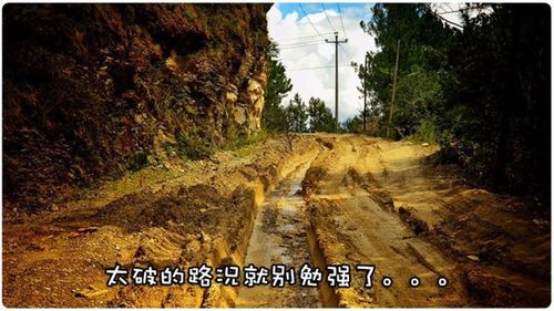 装完别直接交车,这环路试没做,迟早被客户骂回来