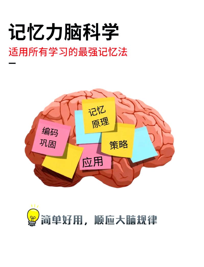间隔提取练习提升记忆效果对比图