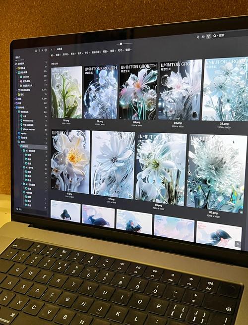设计师使用Eagle软件管理灵感素材的标签分类界面截图