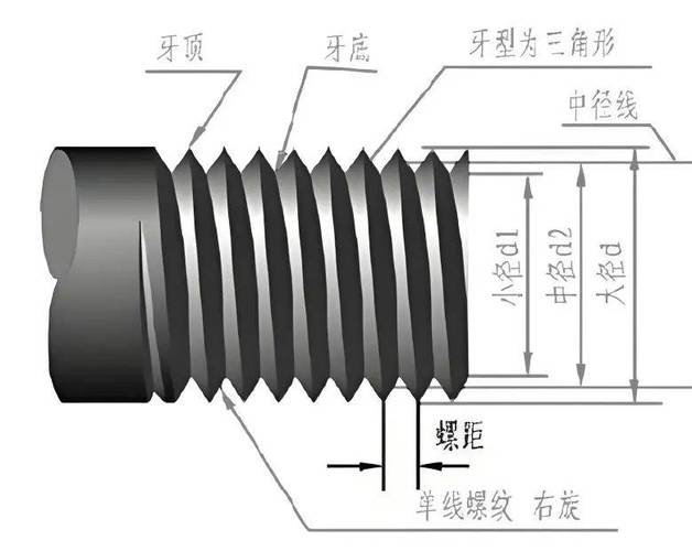 为什么小小的螺距决定生死