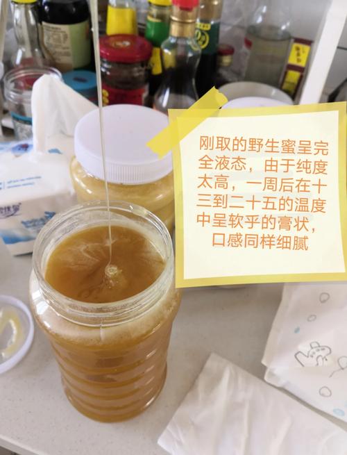 多种天然蜂蜜颜色和结晶状态的对比图，包括椴树蜜结晶、洋槐蜜透明等