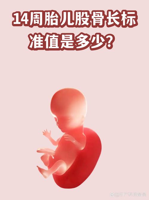 过了14周，是不是就没救了？
