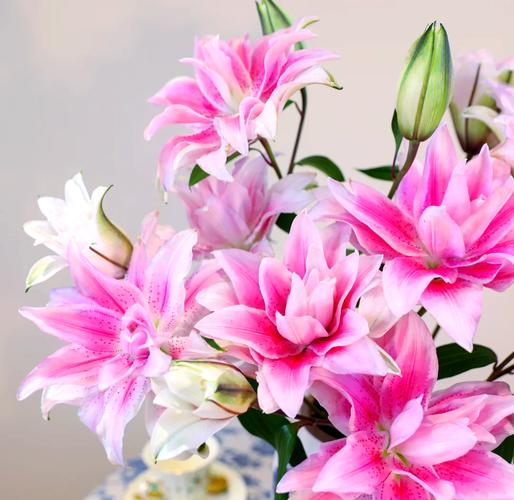粉色重瓣百合伊莎贝拉婚礼桌花布置