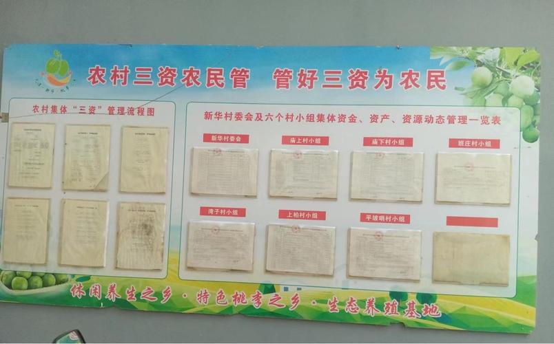 算清山水的身价：接地气聊聊自然资本核算