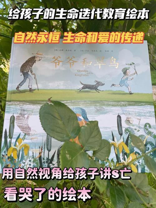 家庭共读生命教育绘本讨论死亡话题