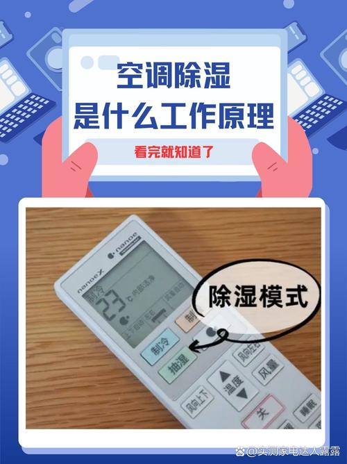 除湿是老大,别指望开窗