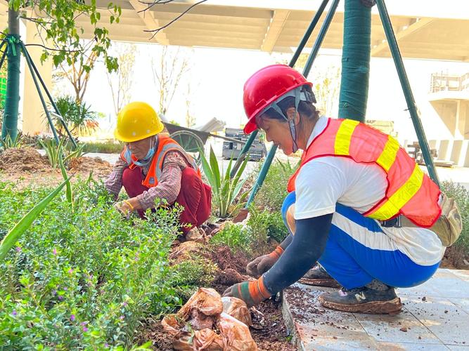 老工程师在工厂车间里栽种绿植特写