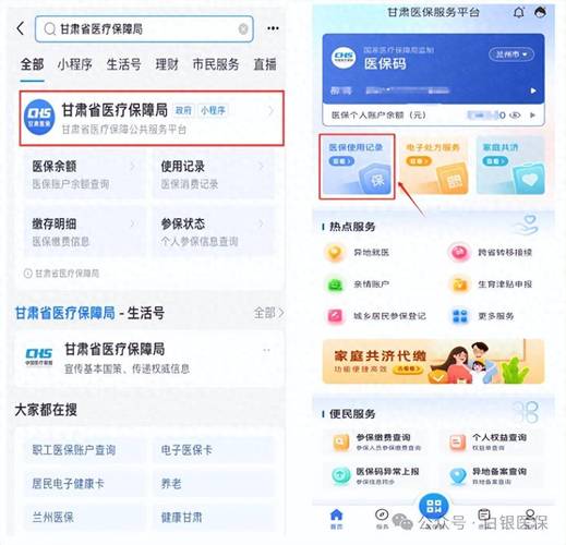 手机端医保查询核心项目界面示意图