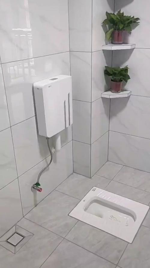 家装蹲便器挂墙水箱安装完成实景图