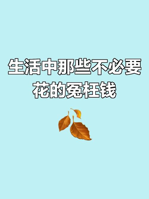 别为不必要的附加功能花冤枉钱