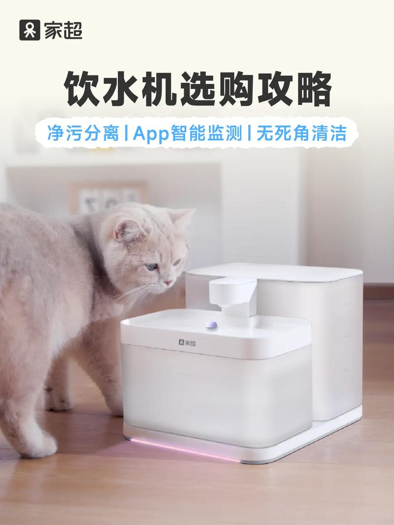 不用买贵价饮水机,几个小细节就能让毛孩子多喝两口