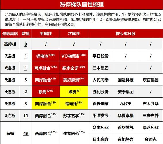 市场玩家梯队分层，比固定排名更靠谱