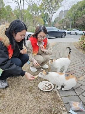 亲子小区喂流浪猫志愿服务日常图