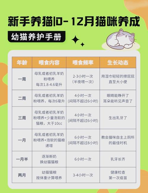 猫咪进食行为习惯观察记录表