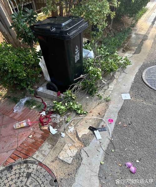 业主在小区公共区域拍摄的垃圾桶周边卫生实况照片