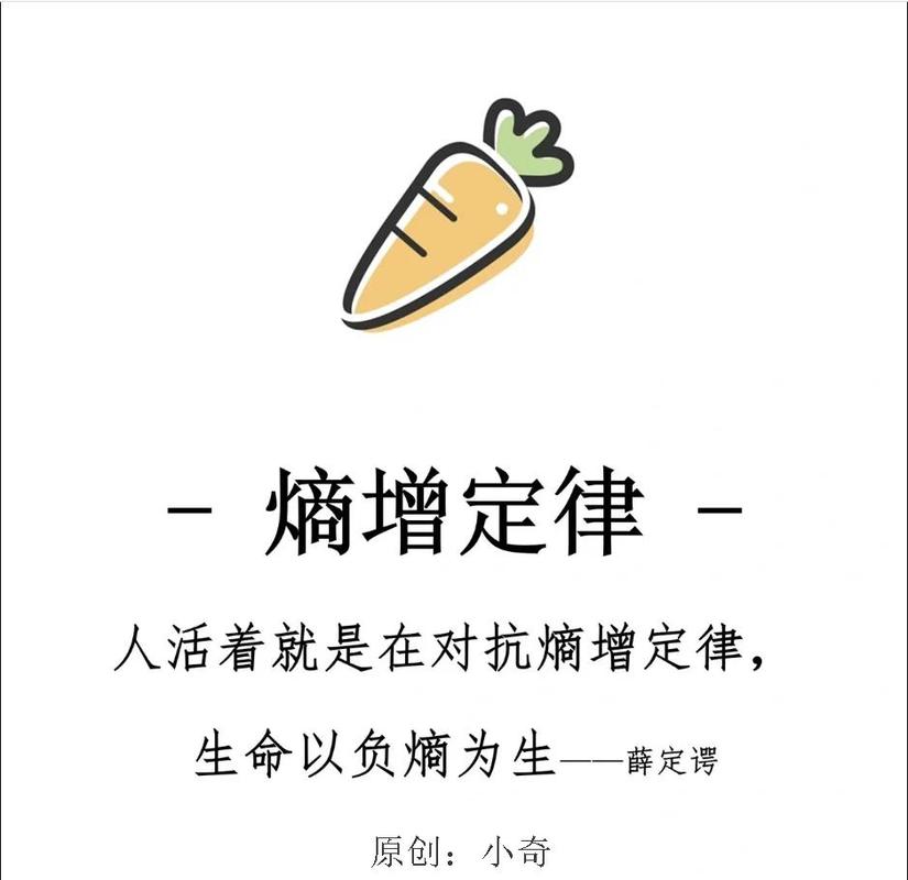 逆着熵增活下去,你得学会“借能量”