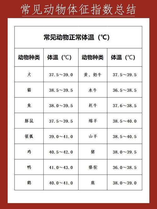 不同状态犬猫热量需求对照表