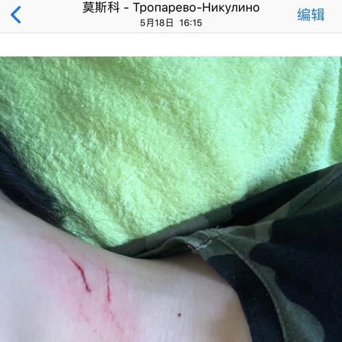 宠物抓挠后的免漆门表面损伤实拍