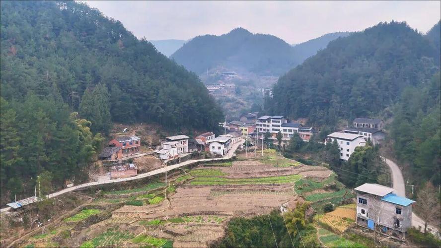 怎么抵达雷坪村