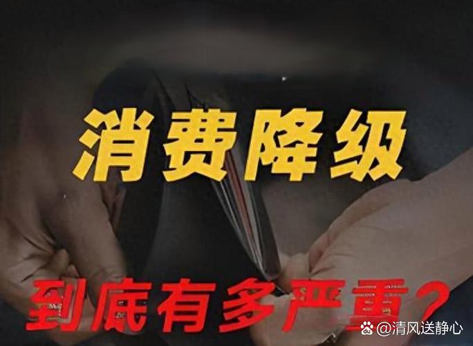 💰 价格战:谁更值?