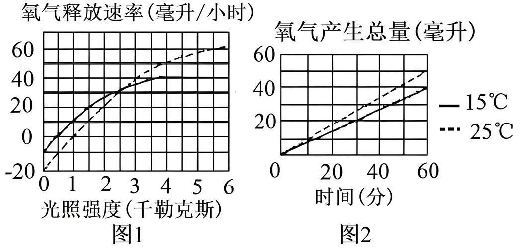 高中生物光合作用光照强度响应曲线图