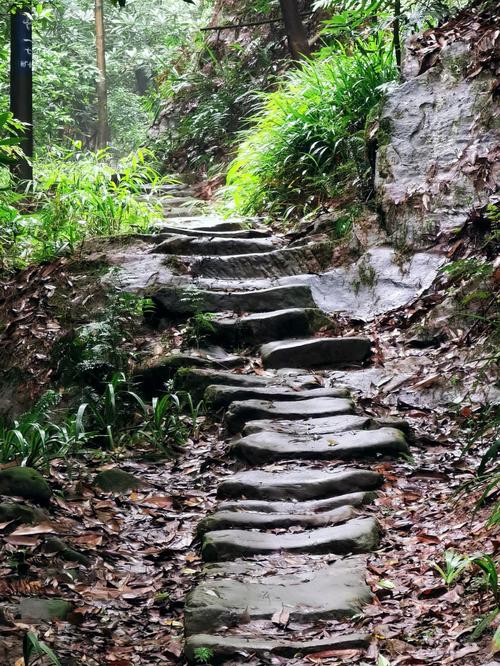 南漳太坪村山间石板步道