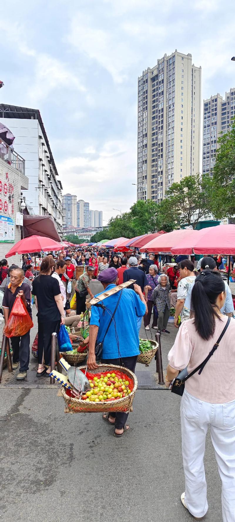 南纪门早市：清晨的烟火交响曲