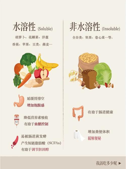 两种膳食纤维作用对比图 功能性便秘