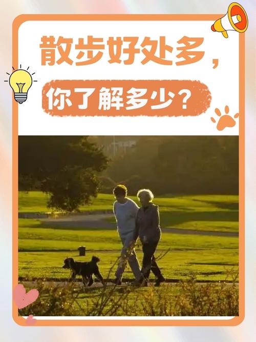 这些小细节,能让散步的舒服度提好几个档次