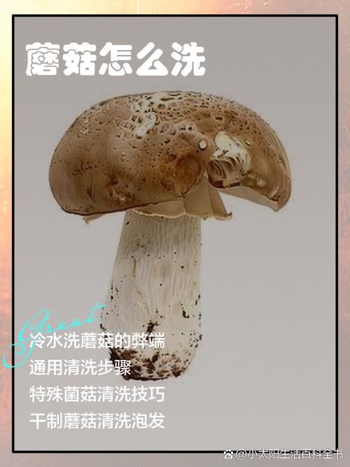家庭新鲜菌菇正确清洗步骤图