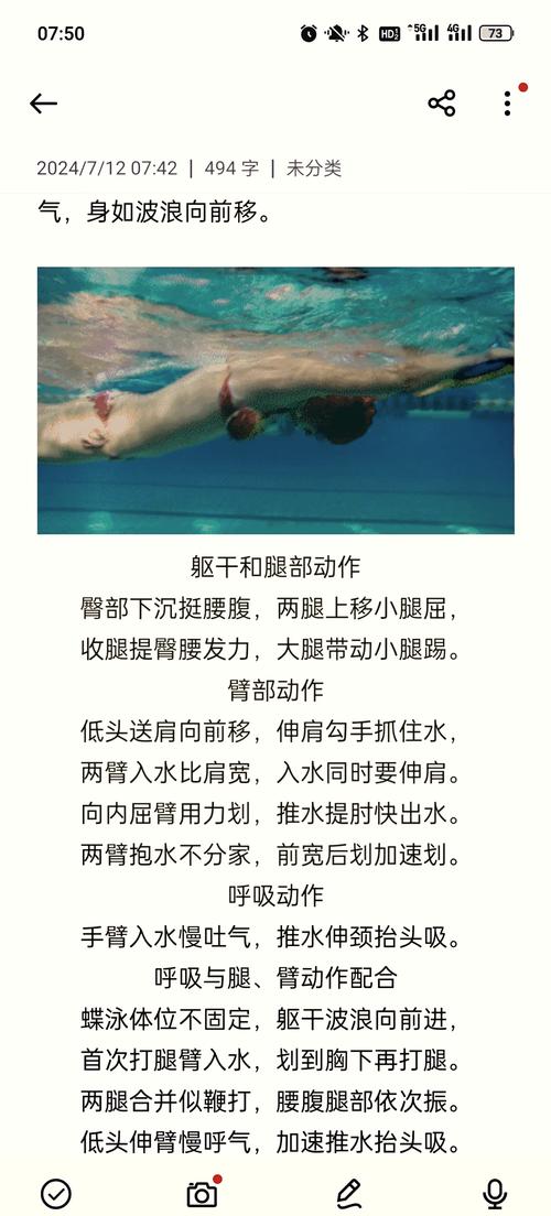 蝶泳腰腹发力技巧是什么?