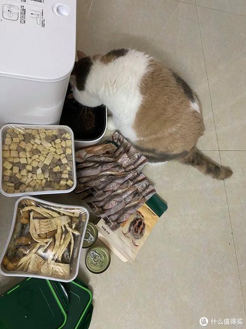 半开笼门的猫窝旁放着冻干零食的居家场景