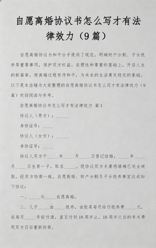北京离婚法律服务中心协议书签署场景