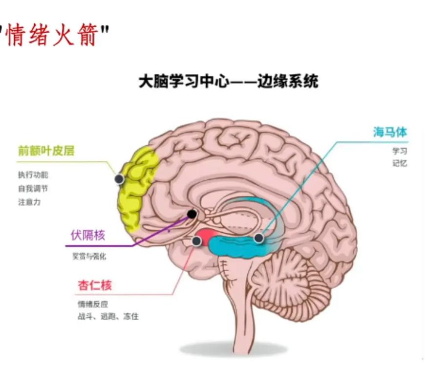 孩子顶嘴反抗不是坏事?资深编辑深度解读背后的成长密码-超级宝贝