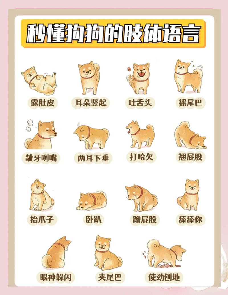 狗狗害怕吠叫肢体语言示意图
