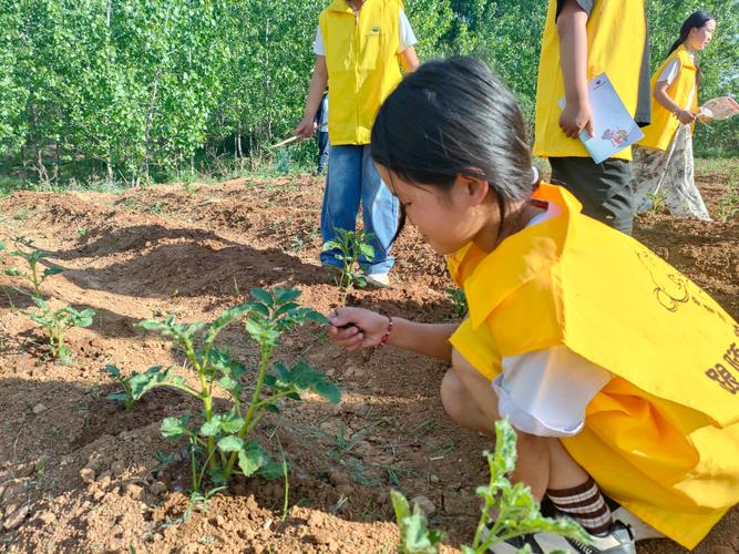 小学生在校园种植园上自然实践课
