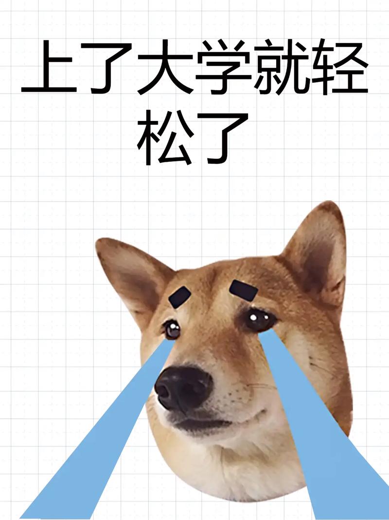 装上就完事?别天真了