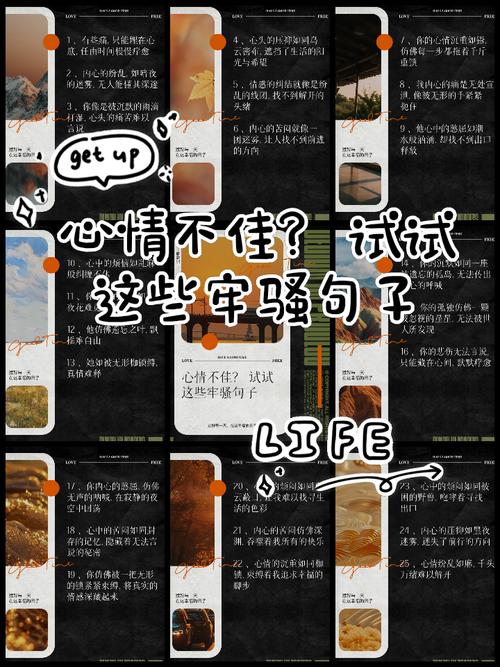 最后几句牢骚