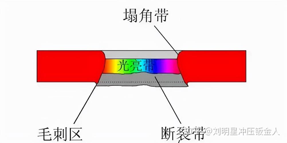 精密冲压件光亮带断面显微镜图