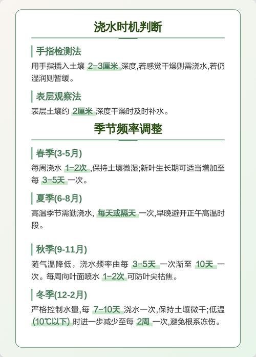 手指插入土壤判断绿植浇水时机