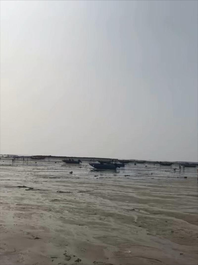 浪走了,绳结还在滩上