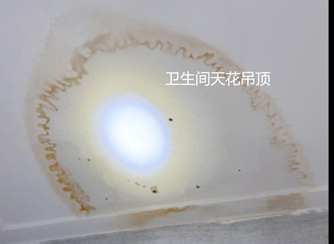 厨卫吊顶螺丝透锈发黄实景图
