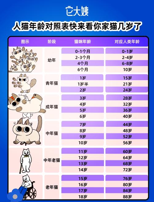 老年猫认知障碍与正常衰老表现对比表