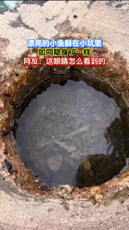 藏在标准里的隐形坑
