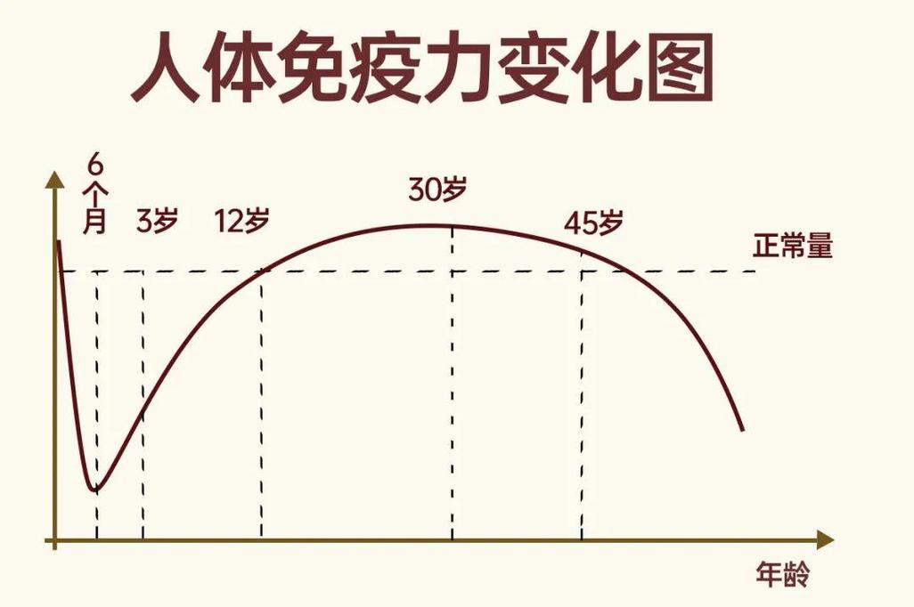 婴幼儿免疫力发育过程通俗示意图